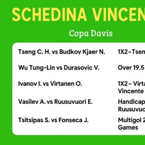 Schedina Vincente – Coppa Davis 14/09/2025