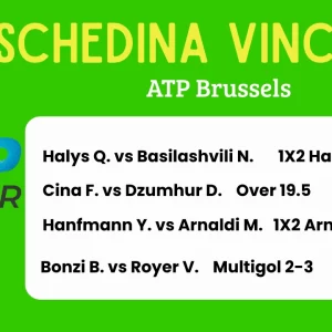 🏆 Schedina Vincente – ATP Brussels 15 ottobre 2025